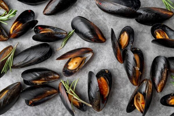 Mussels 1 Kilo